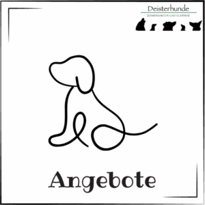 Angebote